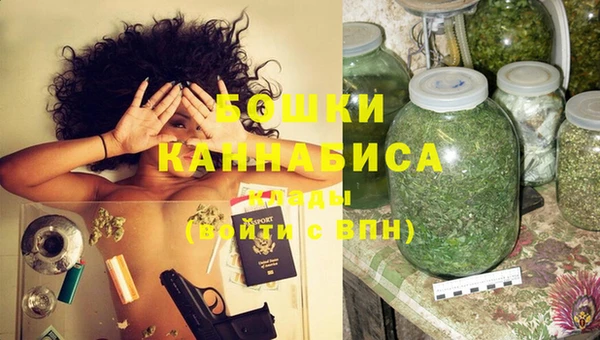 мдпв Верея