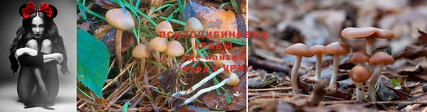 кокс Верхний Тагил